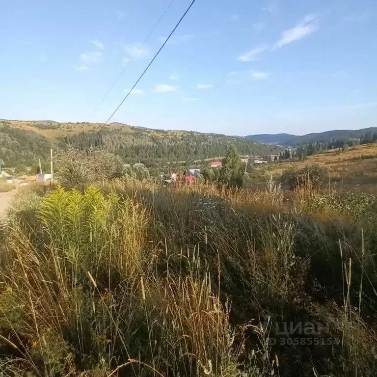 Участок в Кемеровская область, Таштагол ул. Куйбышева (15.0 сот.) - Фото 1