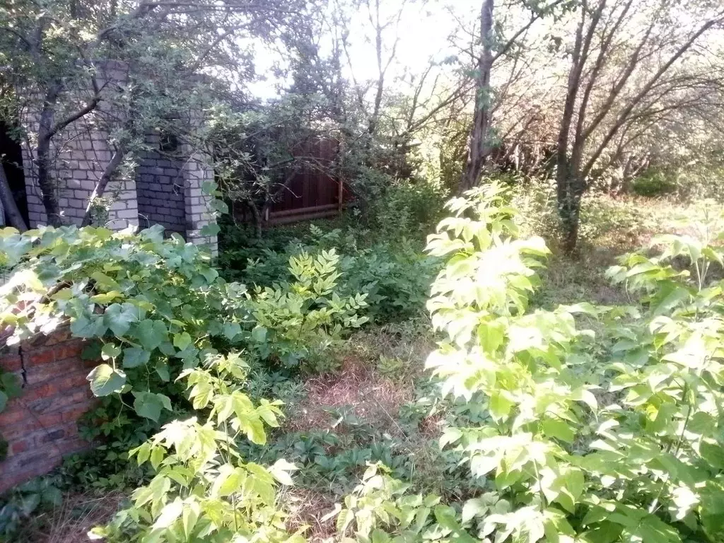 Участок в Ростовская область, Ростов-на-Дону Январская ул. (7.5 сот.) - Фото 2