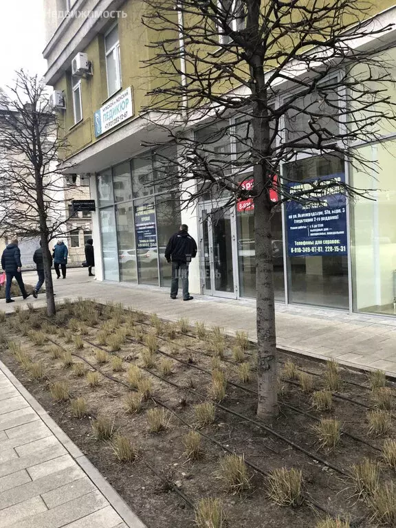 Помещение свободного назначения (120 м) - Фото 1