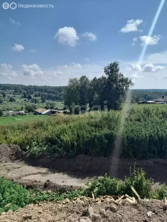 Участок в Новосибирский район, Раздольненский сельсовет, село Гусиный ... - Фото 0