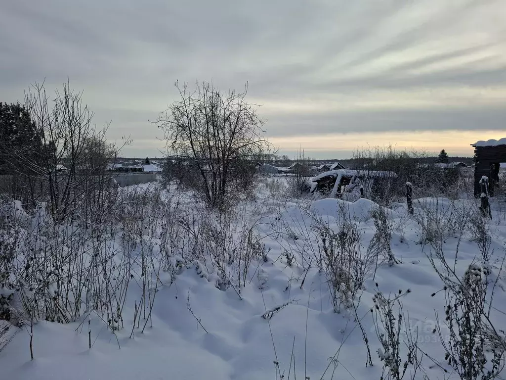 Участок в Челябинская область, Каслинский муниципальный округ, с. ... - Фото 1