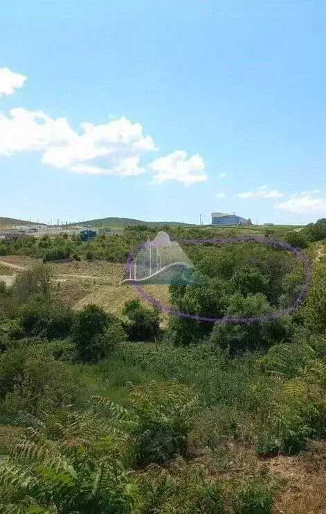 Участок в Краснодарский край, Анапа муниципальный округ, с. Варваровка ... - Фото 2