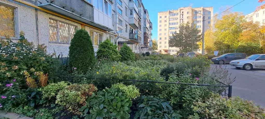 2-к кв. Ленинградская область, Гатчина Исторический район Хохлово ... - Фото 2