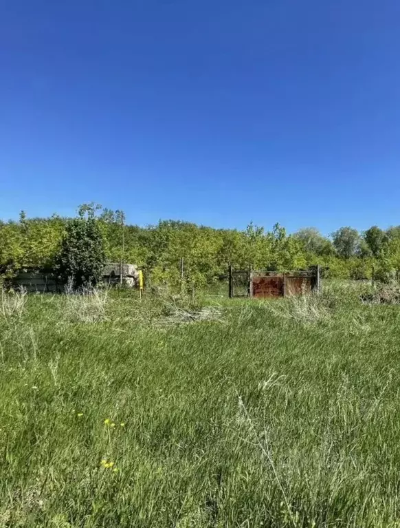 Участок в Башкортостан, Чишминский район, Лесной сельсовет, с. ... - Фото 0