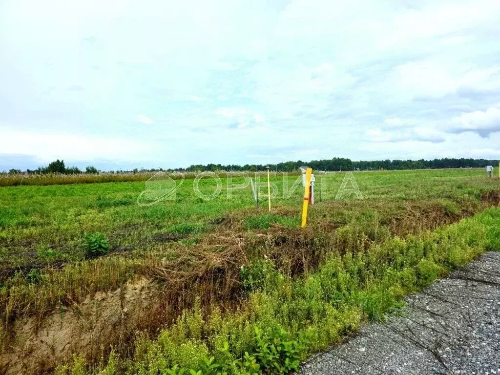 Участок в Тюменская область, Тюменский муниципальный округ, Априори кп ... - Фото 2