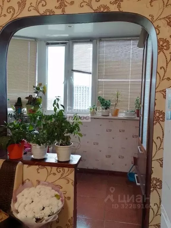 3-к кв. Ханты-Мансийский АО, Сургут ул. Щепеткина, 14 (68.2 м) - Фото 2