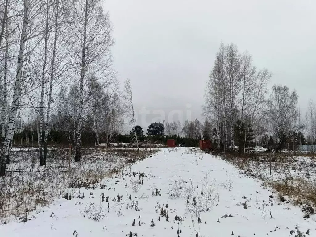 Участок в Тюменская область, Тюменский муниципальный округ, ... - Фото 1