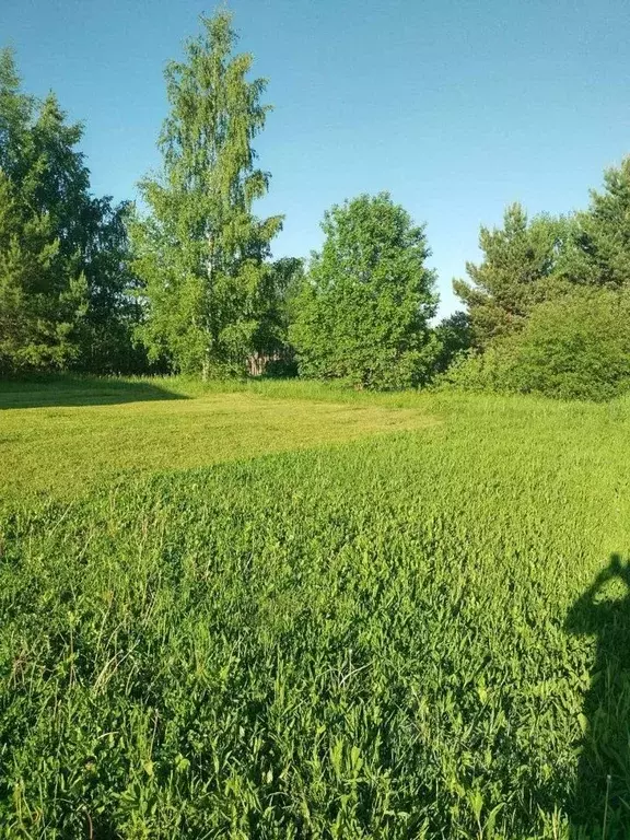 Участок в Ивановская область, Ивановский район, Коляновское с/пос, д. ... - Фото 2