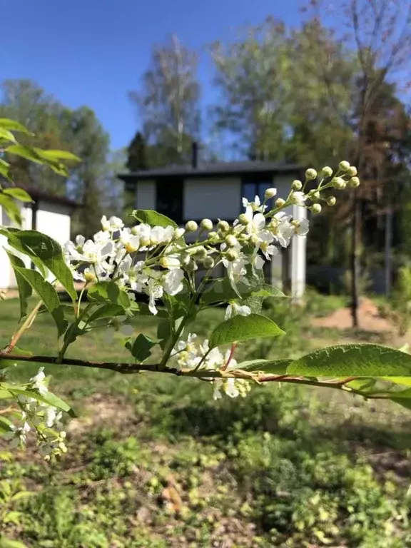 Дом в Московская область, Щелково городской округ, Загорянский дп ... - Фото 1