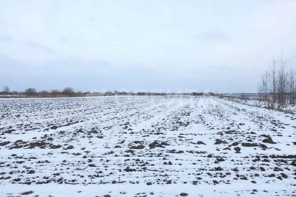 Участок в мальково. Участок малькова. Село мальково тюменская область. Участок малькова. Мальково тюмень.