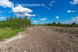 Участок в Тюмень, садовое товарищество Ясень, Вторая улица (10 м) - Фото 0