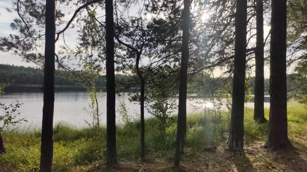 Участок в Тверская область, Бологовский муниципальный округ, д. ... - Фото 1