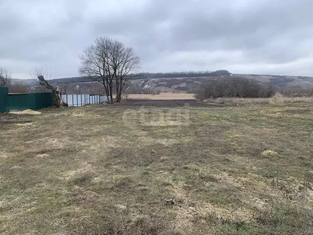 Участок в Белгородская область, Вейделевский район, с. Белый Колодезь ... - Фото 1