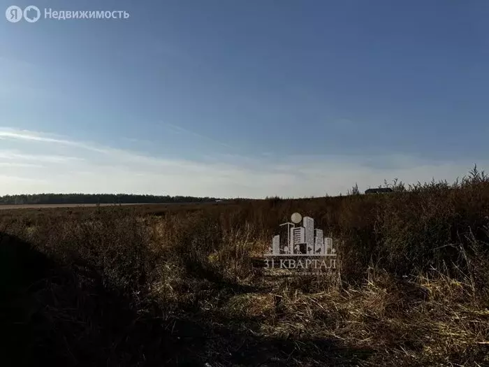 Участок в Домодедово, СНТ Барыбино (6 м) - Фото 0