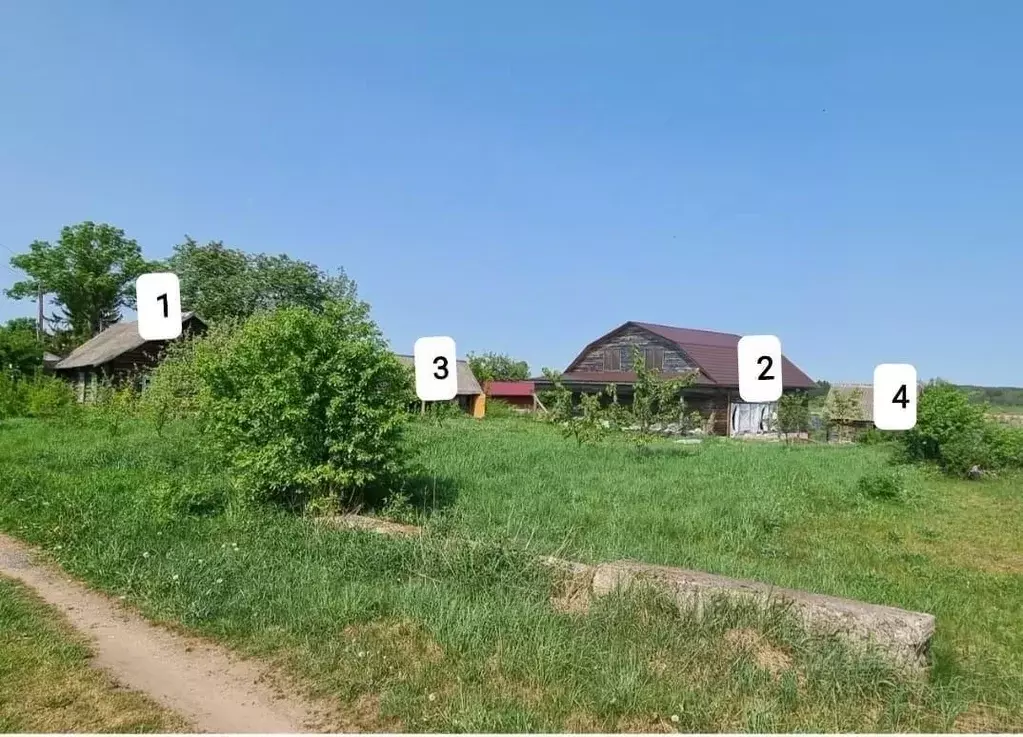 Участок в Псковская область, Невельский муниципальный округ, д. Горка  ... - Фото 1