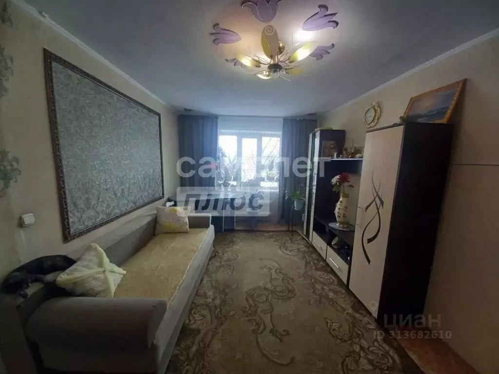 2-к кв. Алтайский край, Бийск Социалистическая ул., 123/1 (52.0 м) - Фото 2