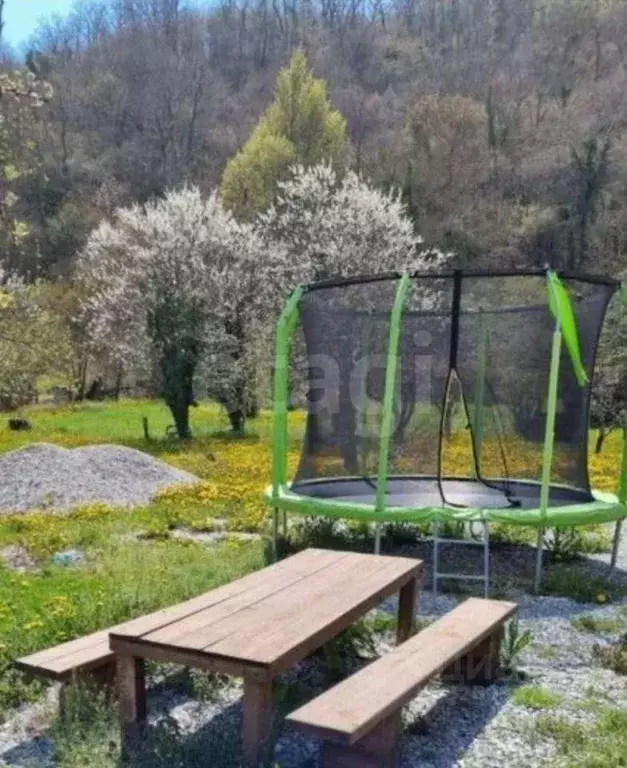 Участок в Краснодарский край, Геленджик городской округ, с. ... - Фото 2