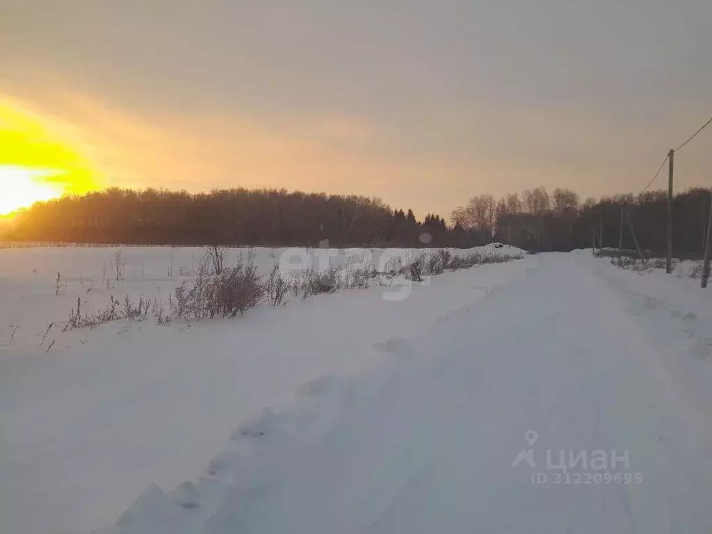 Участок в Омская область, Омский район, с. Пушкино ул. 30 лет Победы, ... - Фото 1