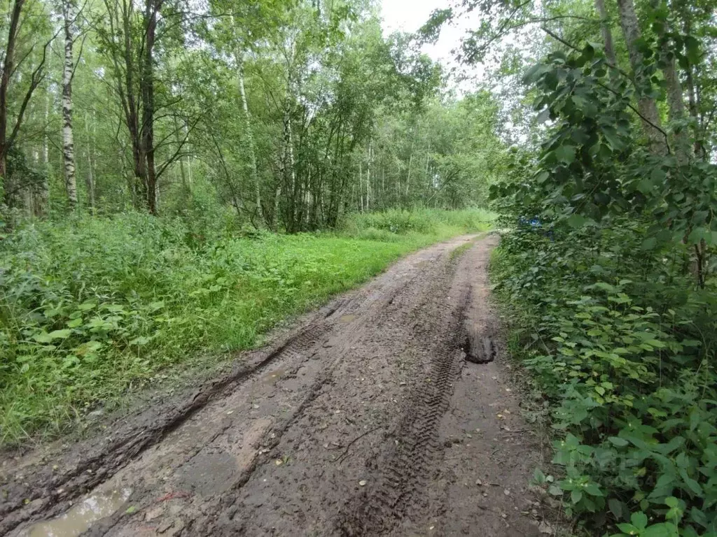 Участок в Тверская область, Калининский муниципальный округ, д. Мухино ... - Фото 2