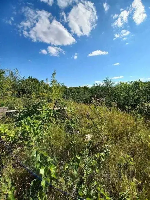 Участок в Самарская область, Волжский район, Верхняя Подстепновка ... - Фото 1