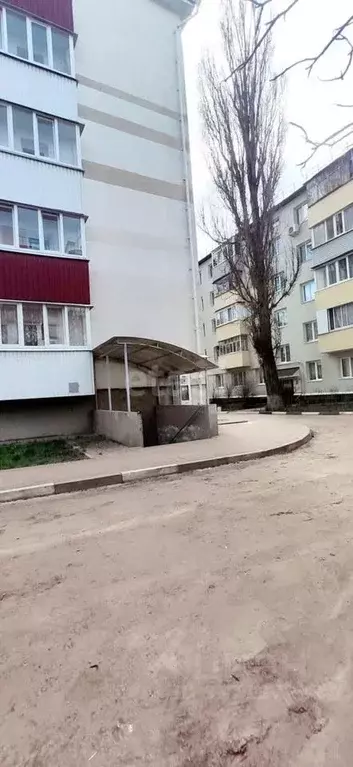 Помещение свободного назначения в Белгородская область, Белгород ... - Фото 1