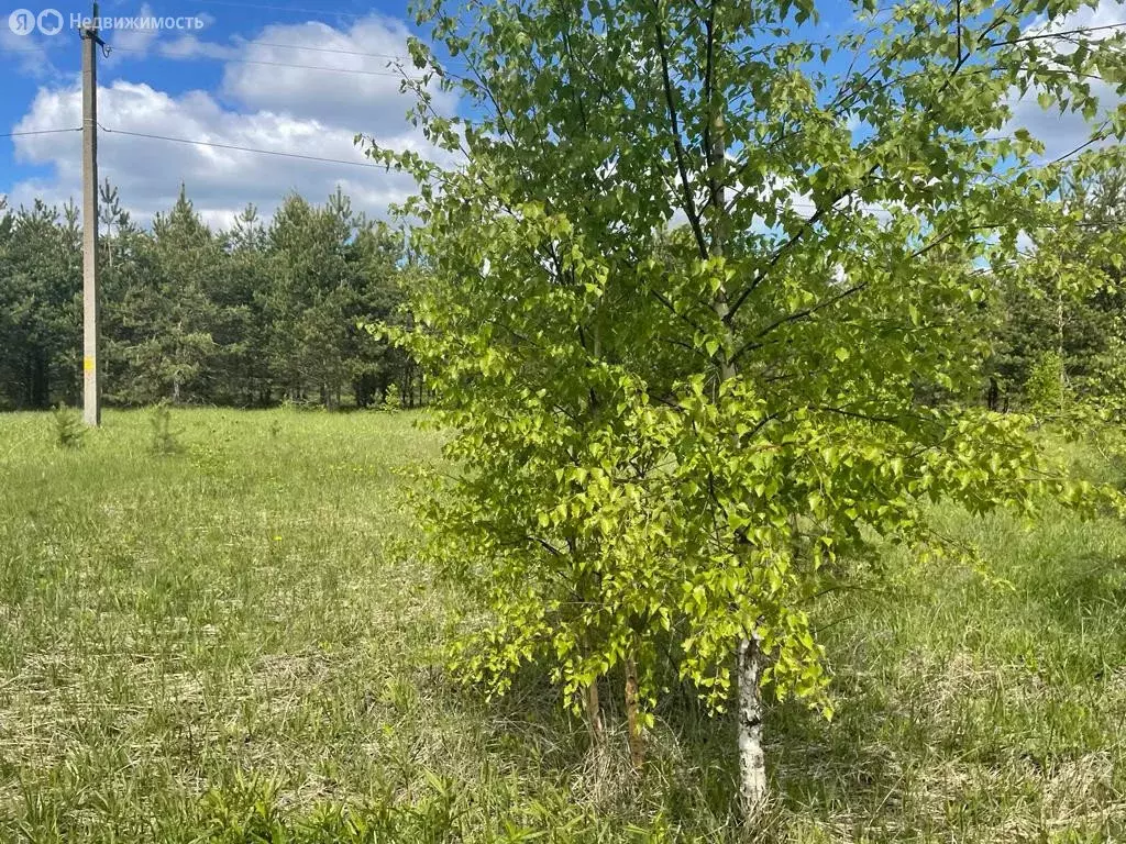 Участок в Раменское, улица Сергия Радонежского (10.5 м) - Фото 0