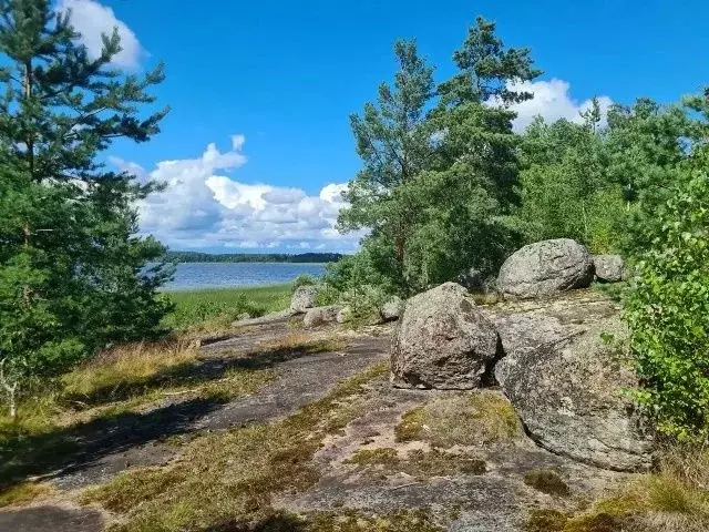 Участок в Ленинградская область, Выборг проезд Малый Лесной, 2 (100.0 ... - Фото 1