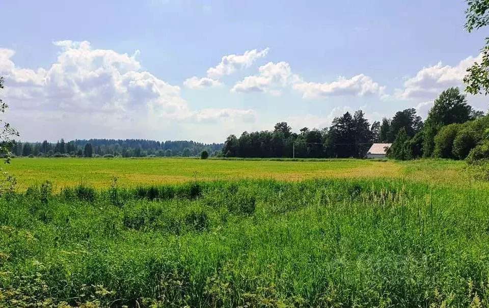 Участок в Ленинградская область, Приозерский район, Ромашкинское с/пос ... - Фото 2