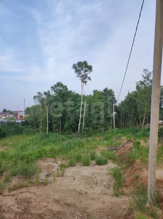 Участок в Амурская область, Благовещенский район, с. Чигири ул. ... - Фото 2