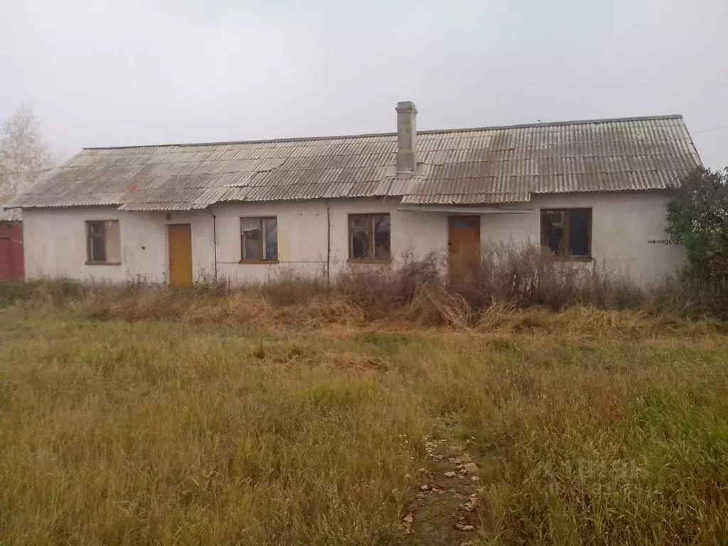 Помещение свободного назначения в Челябинская область, Чесменский ... - Фото 1