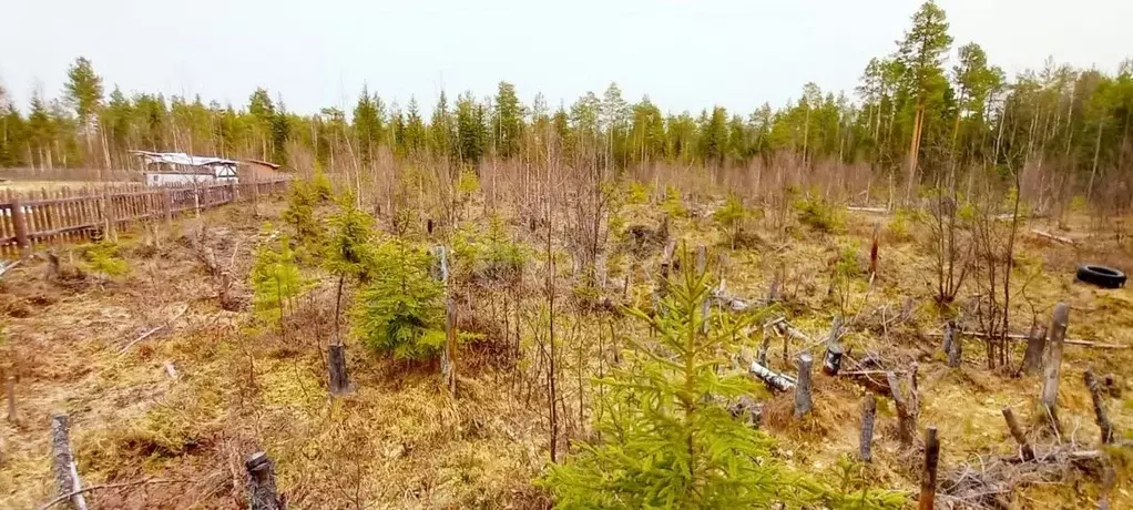 Участок в Коми, Корткеросский район, Додзь муниципальное образование, ... - Фото 0