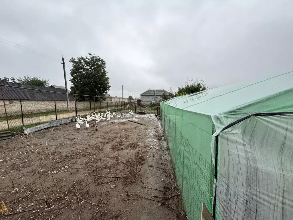 Участок в Кабардино-Балкария, Чегемский район, с. Нартан ул. Пачева, ... - Фото 2