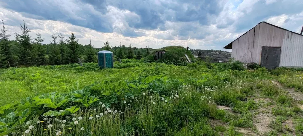 Дом в Коми, Сыктывдинский район, Часово муниципальное образование, д. ... - Фото 2