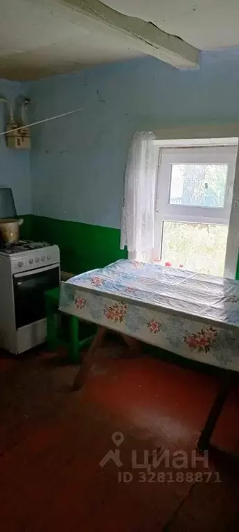 Дом в Башкортостан, Стерлитамакский район, с. Тюрюшля Заречная ул., 20 ... - Фото 2
