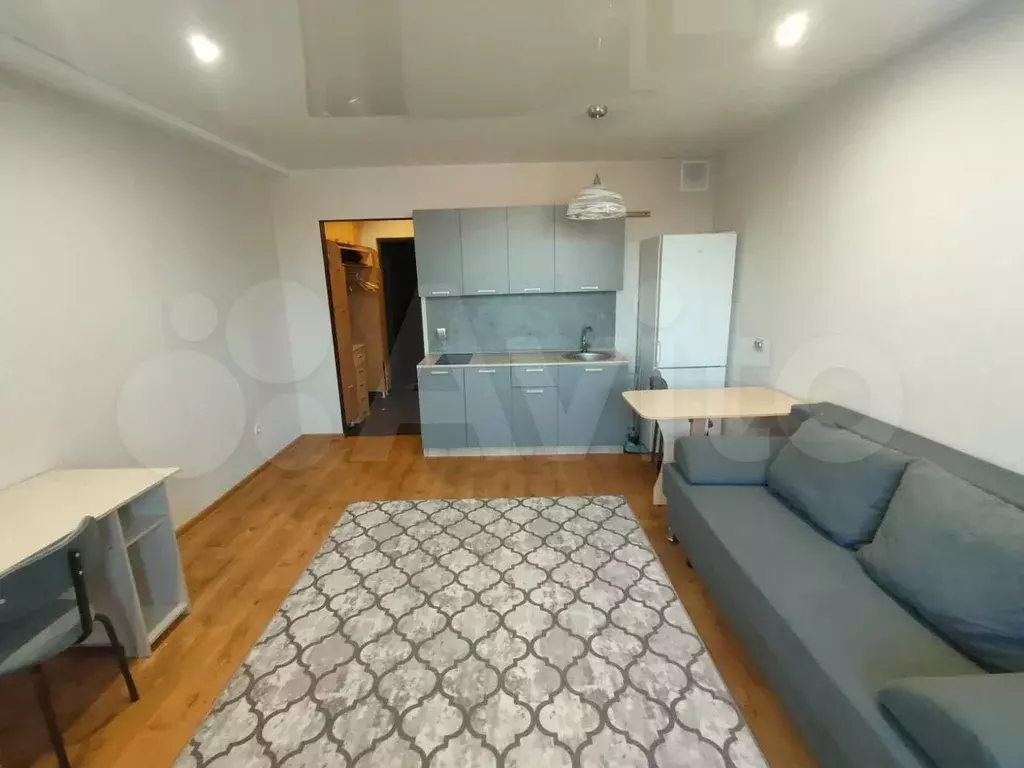 Квартира-студия, 25,4 м, 17/17 эт. - Фото 1