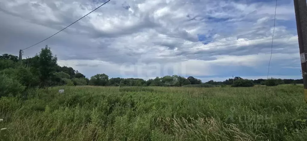 Участок в Калининградская область, Багратионовский муниципальный ... - Фото 1