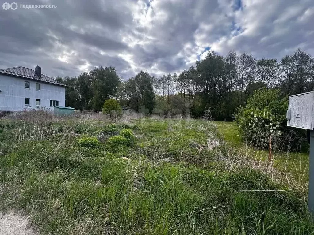 Участок в Калининградская область, Гурьевский муниципальный округ, ... - Фото 0