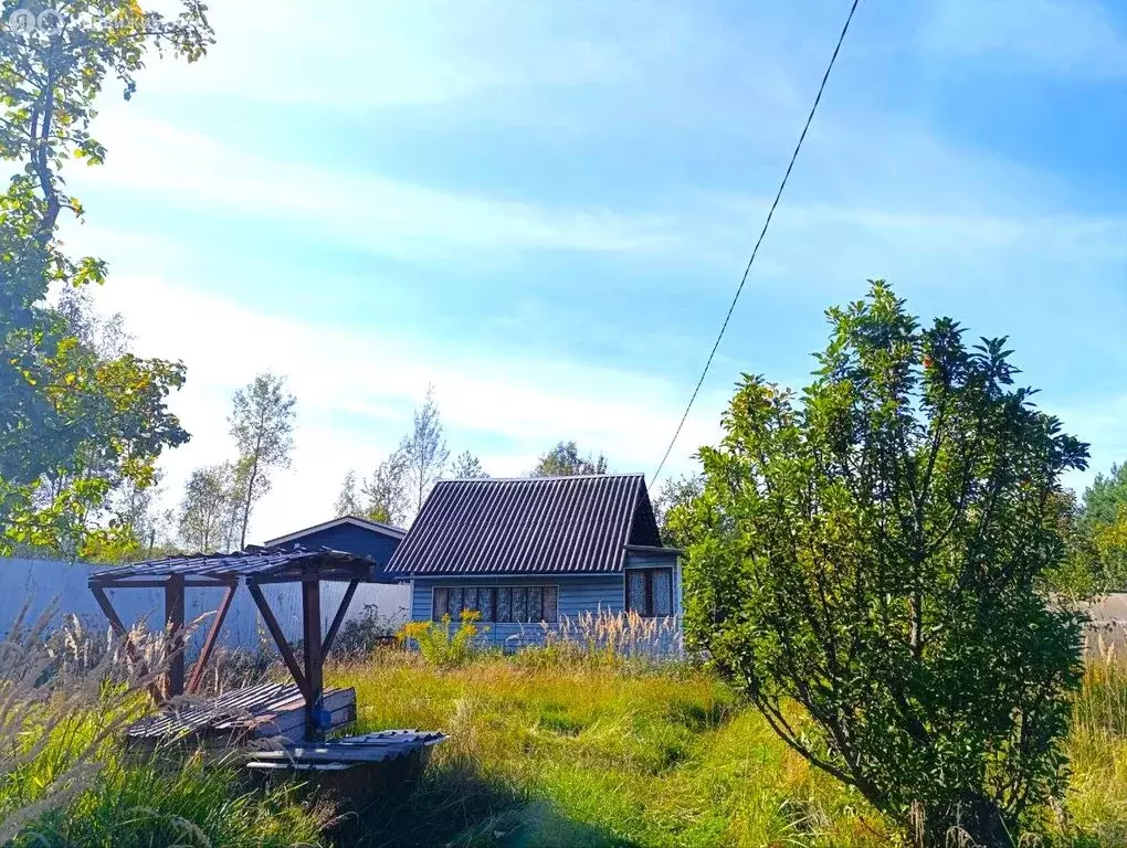 Участок в Московская область, Богородский городской округ, СНТ ... - Фото 0
