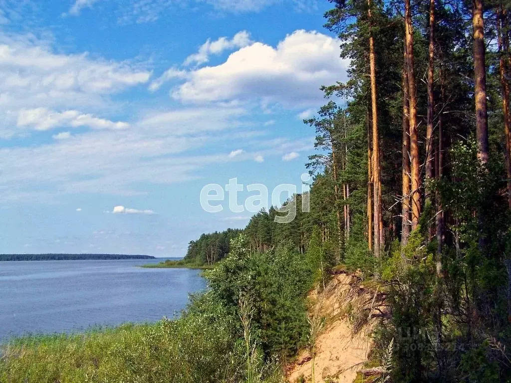 Участок в Вологодская область, Череповецкий район, Уломское с/пос, д. ... - Фото 0