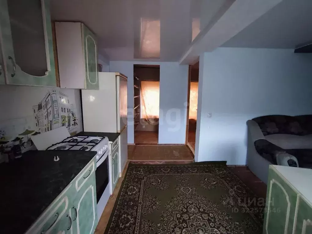 Дом в Пермский край, Чернушка Красноармейская ул., 3 (27 м) - Фото 1