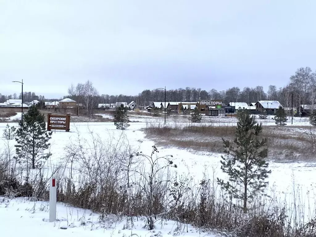 Участок в Новосибирская область, Новосибирский район, Сибирские ... - Фото 1