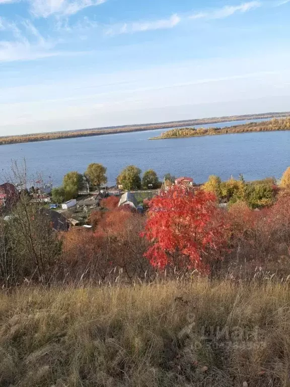 Участок в Нижегородская область, Лысковский район, с. Бармино Полевая ... - Фото 0