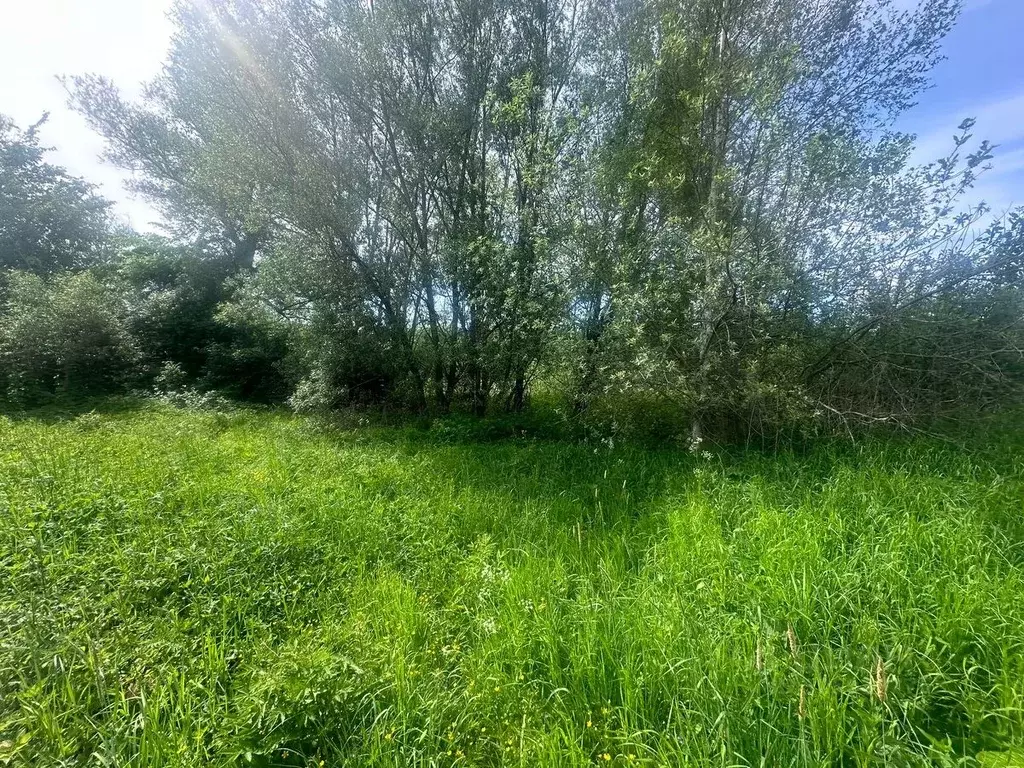 Участок в Московская область, Богородский городской округ, д. ... - Фото 2