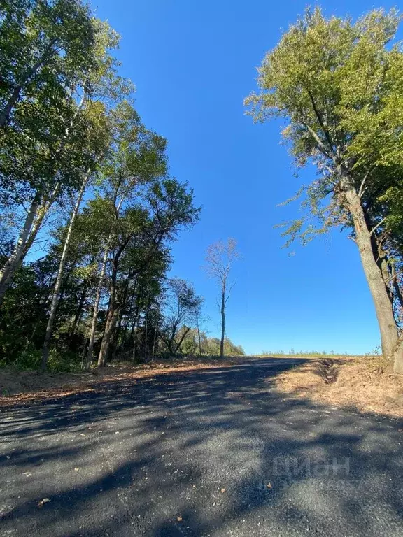 Участок в Калужская область, Боровский муниципальный округ, д. ... - Фото 1