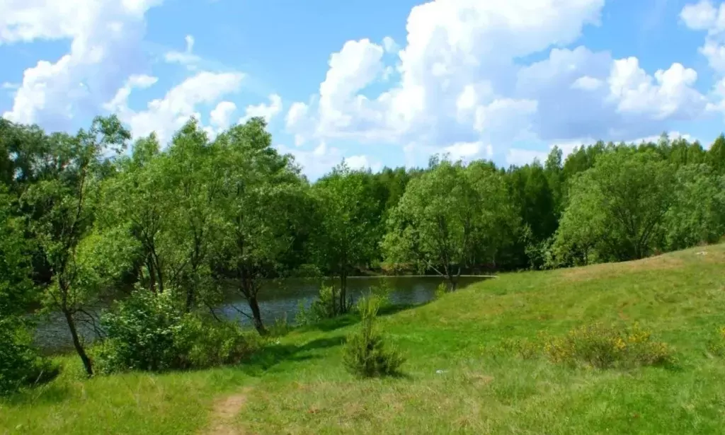 Участок в Нижегородская область, Богородский муниципальный округ, с. ... - Фото 0