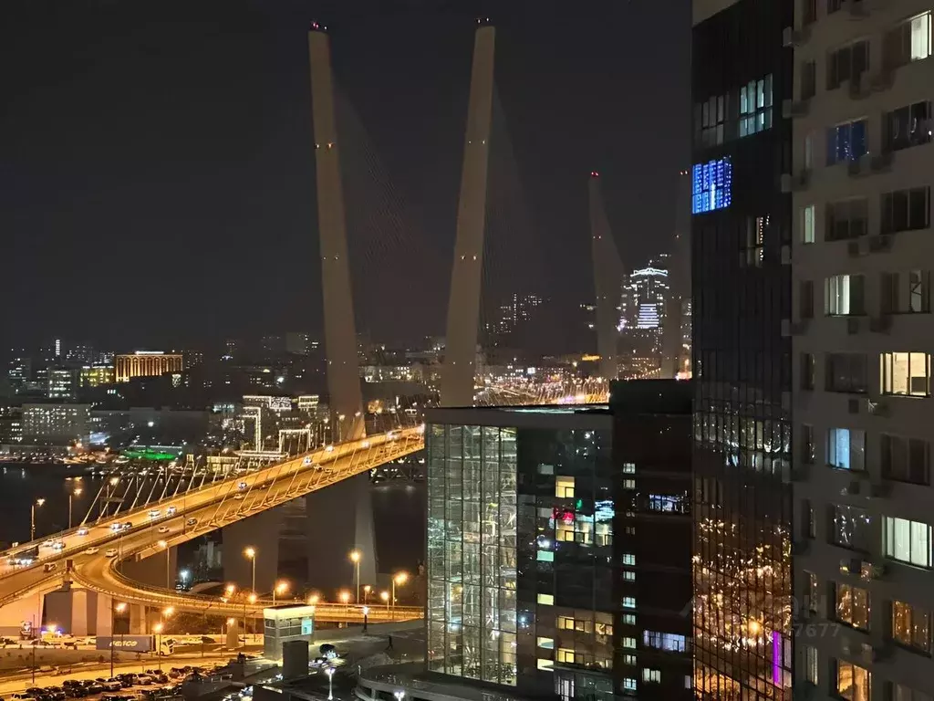 Студия Приморский край, Владивосток Брянская ул., 18 (28.0 м) - Фото 1