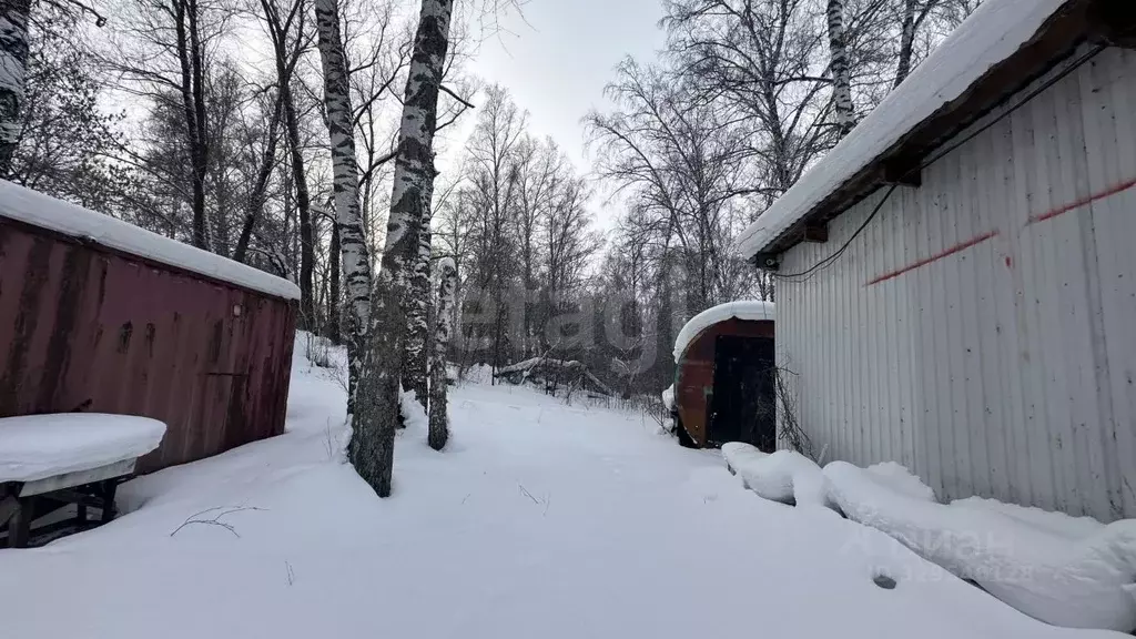 Участок в Алтай, Майминский район, с. Майма ул. Ленина (10.0 сот.) - Фото 1