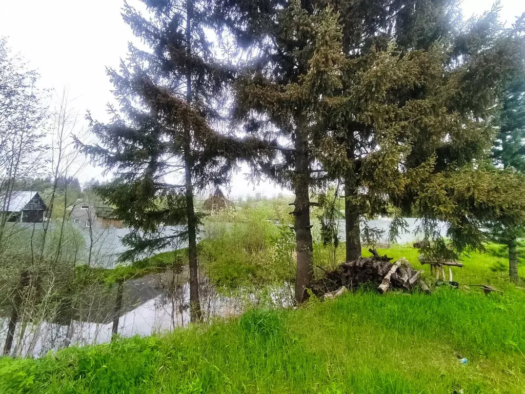 Участок в Киров, СДТ Шинник-1 (6 м) - Фото 1