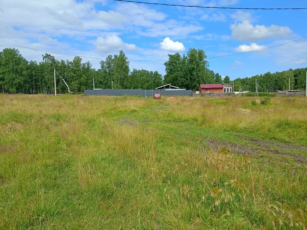 Участок в Челябинская область, Сосновский муниципальный округ, д. ... - Фото 2