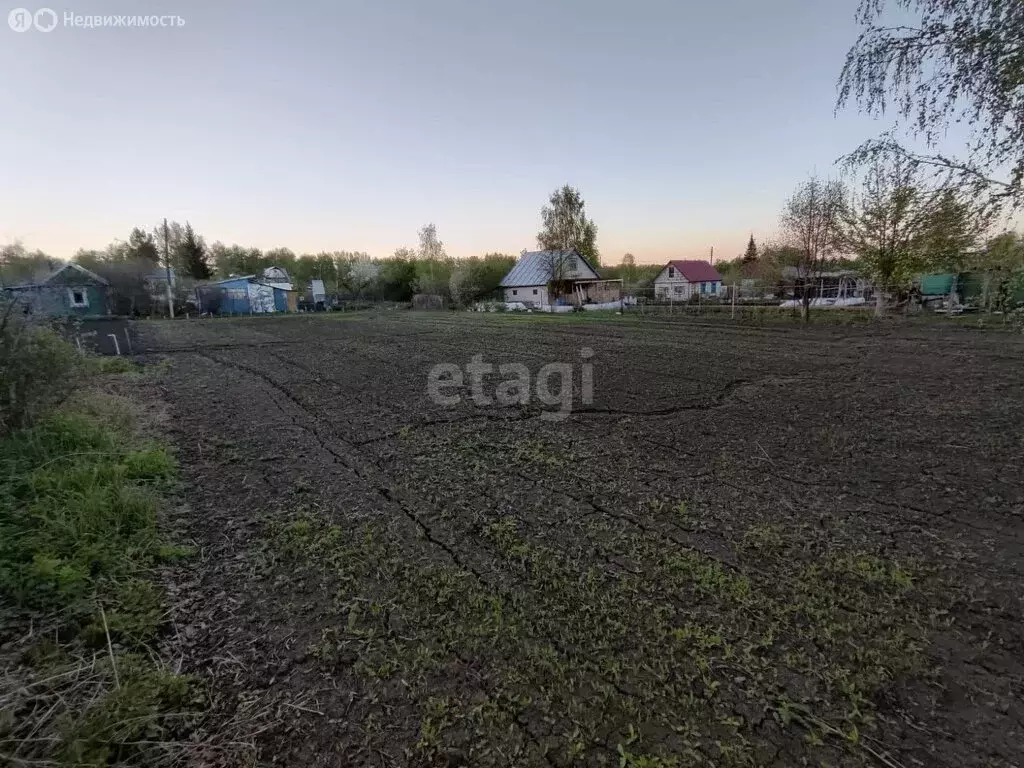 Участок в Павловский район, садовое некоммерческое товарищество Ясное ... - Фото 1